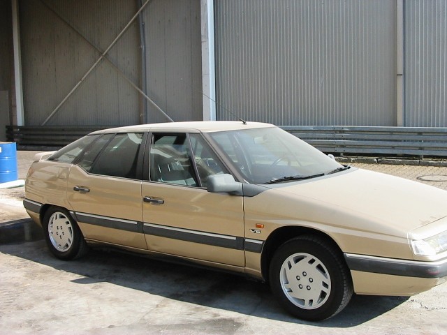 Mein " Goldstück"