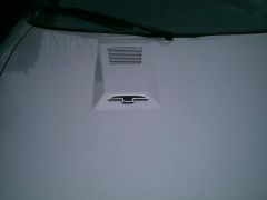 PIC00003