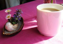 zur Begrüßung bester Kaffee