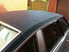 CX Prestige 024