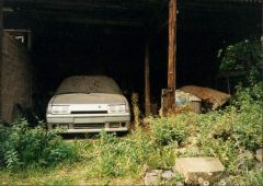 BX GTi 16V Rauschenberg