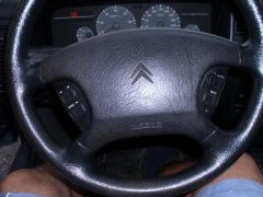 DSCI0336