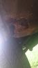post-4436-14484771162162_thumb.jpg