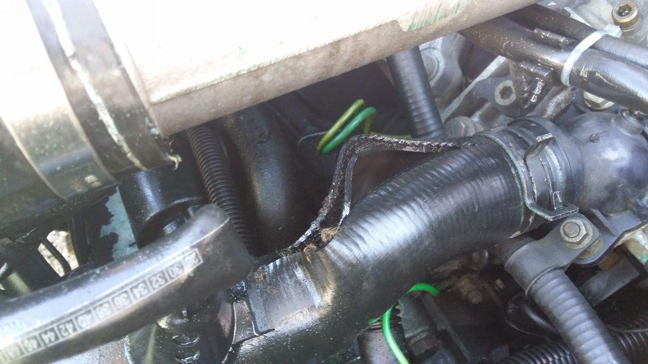20160622_105912.jpg