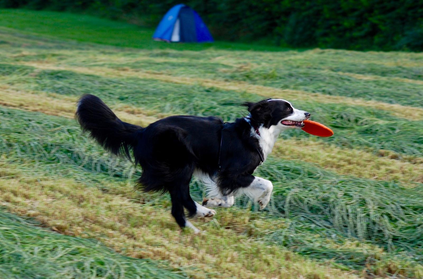 large.DSC_1251.jpg