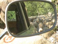 Juni 2016 Gorges du Verdon 2