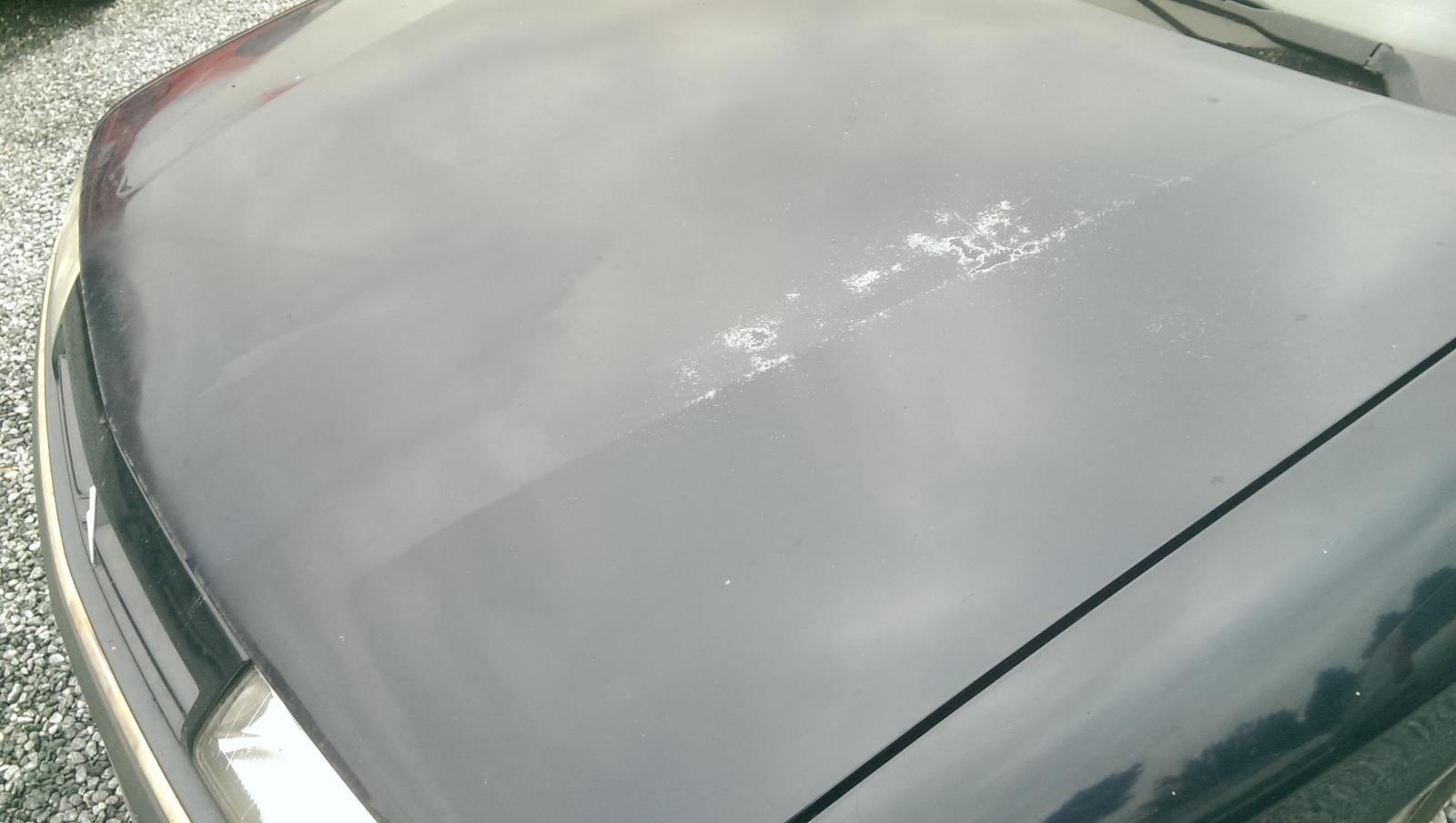 large.IMAG1147.jpg