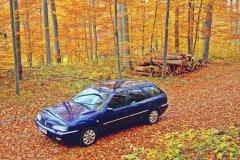 Xantia im Herbst