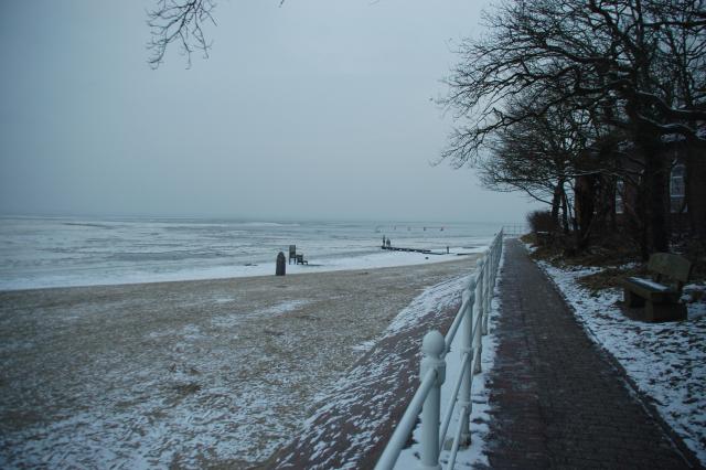 medium.DSC_4028.JPG.1ba4a22a05d303b2a9d5