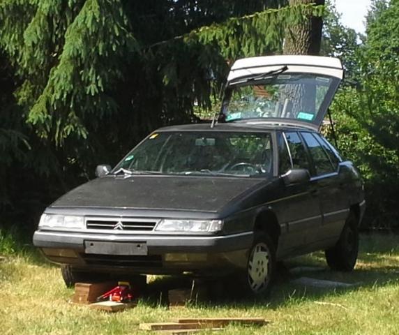 medium.20140609_152402.jpg.e2cb58bb0fcf5
