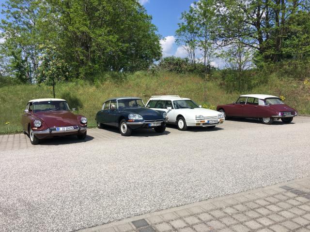 medium.IMG_0199.JPG.762240740f40a4acef7b