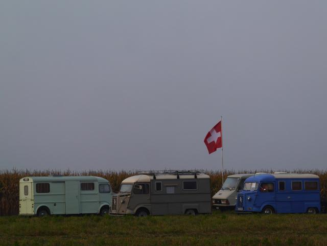 medium.P1120786.JPG.294c0459886736c77a45