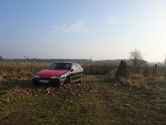 Citroen ZX 1.4 Februar 2017