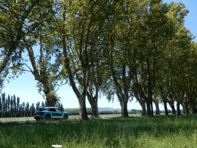 medium.2017_Provence_0478.JPG.a4bc3e9502