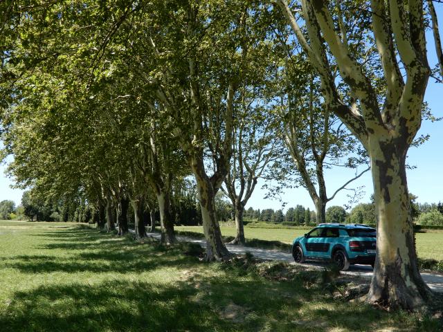 medium.2017_Provence_0487.JPG.67541a6354