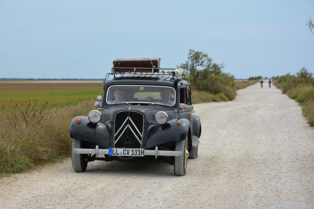 medium.Camargue.JPG.2b1cfad74a8aec911d5e
