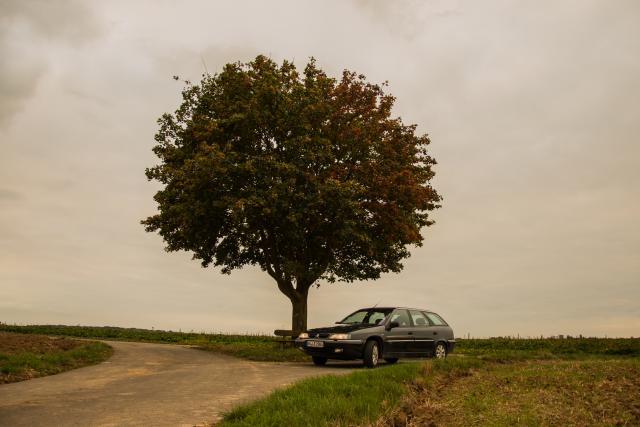 medium.DSC_0009.jpg.754ef1a19d20fa116dd7