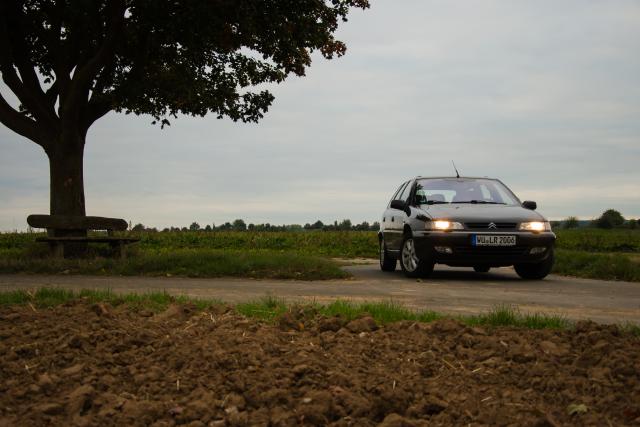 medium.DSC_0018.jpg.5ae1cee25aa751a8849c