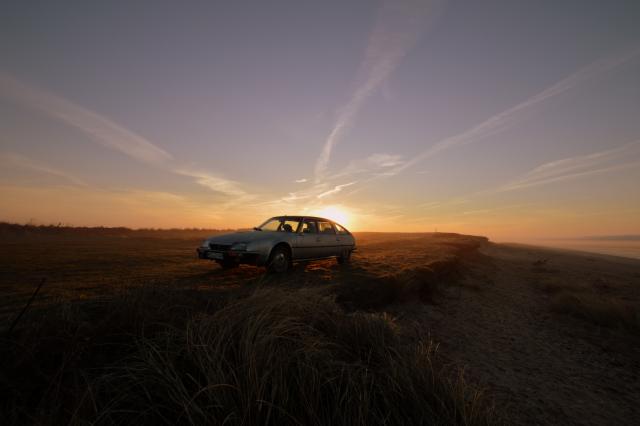 medium.DSC_9649.JPG.4b81fdaf54ccddcf2a7b