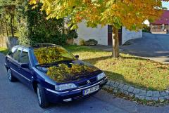 Xantia im Herbstkleid