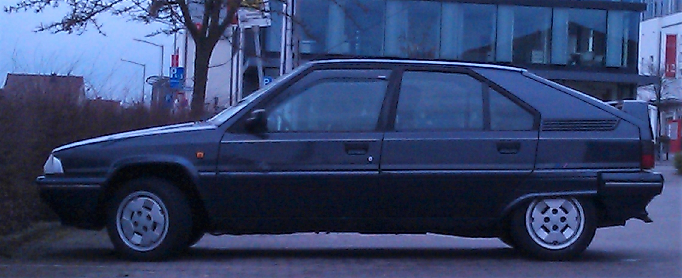 IMAG2091.jpg.04b129566cca46bc565c3a92020f20b7.jpg