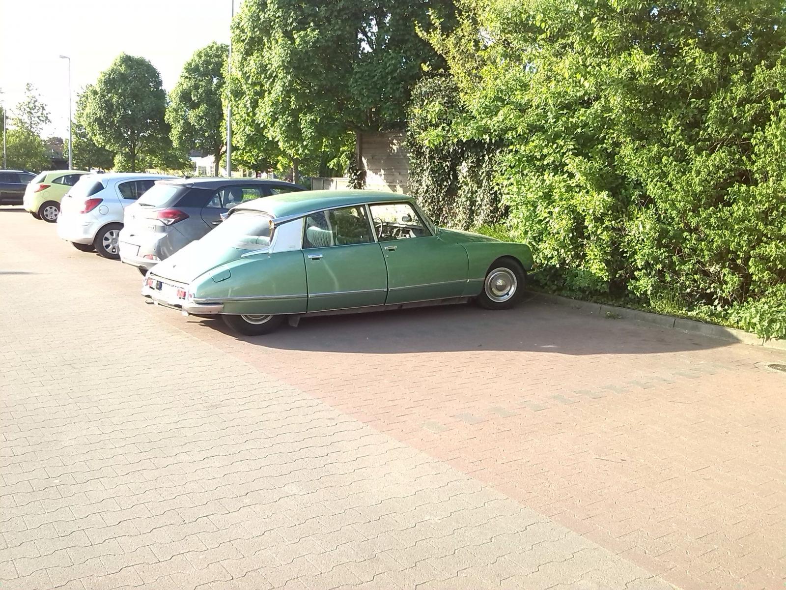 large.DS-rechts.jpg.6e389d62a1c2d82e2d0fff7fc94927fe.jpg