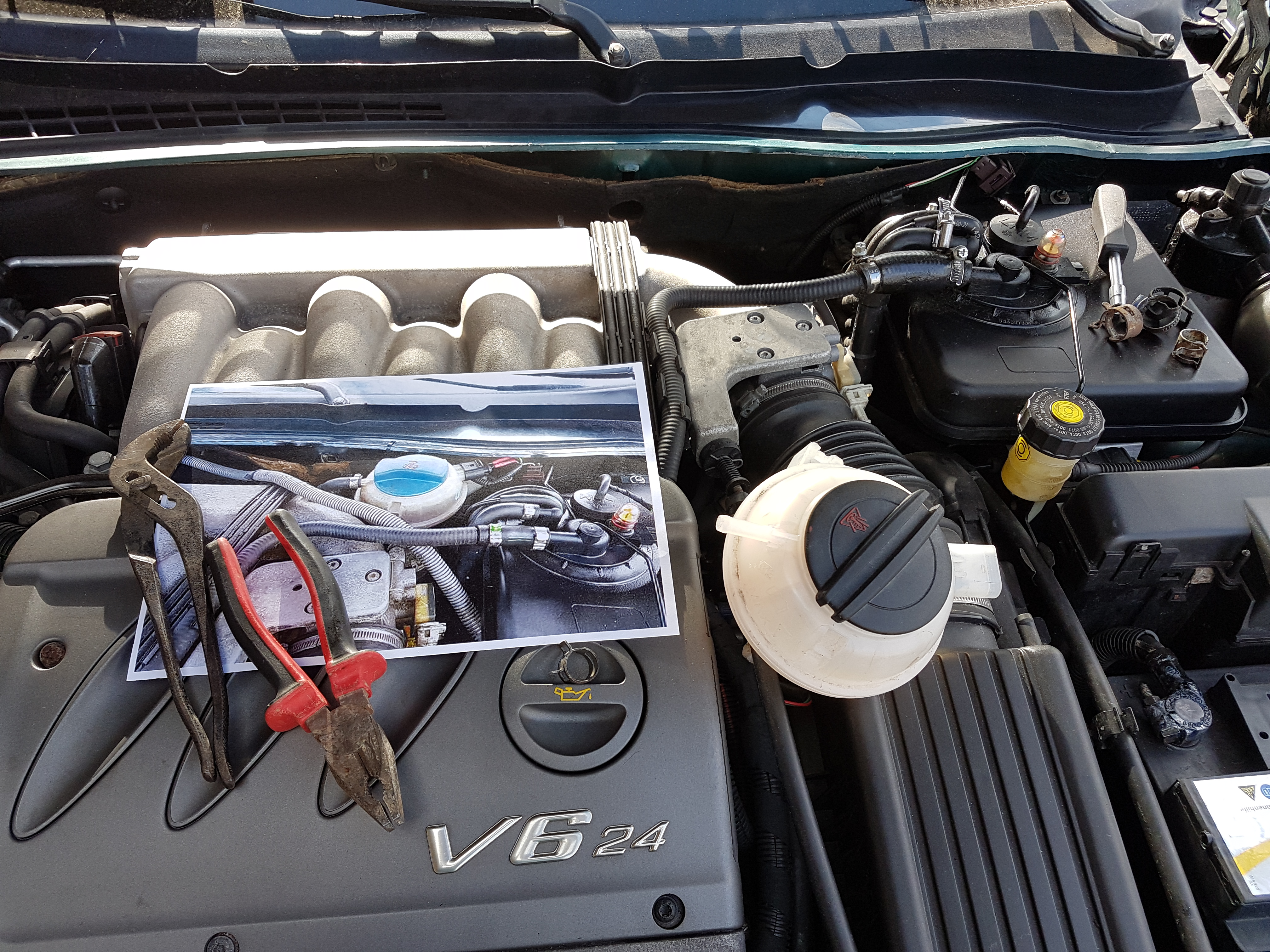 20180618_170634.jpg.98aaaff22772cc508ba39660fc709d94.jpg