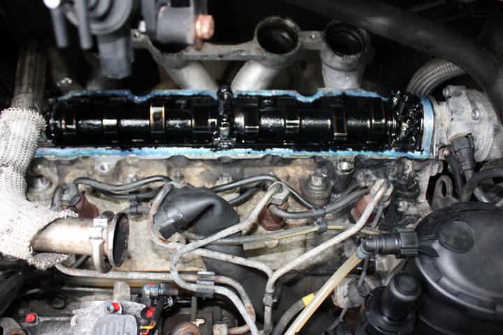 K640_003.JPG.f8833279c37f2511dc175aa9639bc5af.JPG