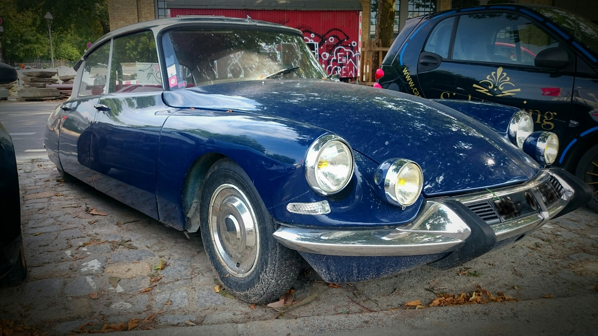 dsblau.JPG.08138d6297581babb0611f3c2332b9b4.JPG