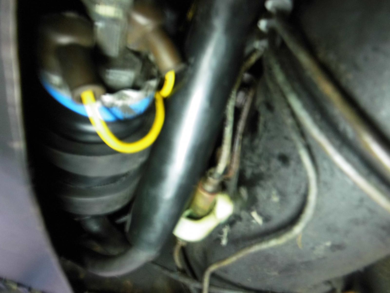 DSCI2515.JPG.d9a02f0dc9cec6a9b2896b89f2bc24e4.JPG