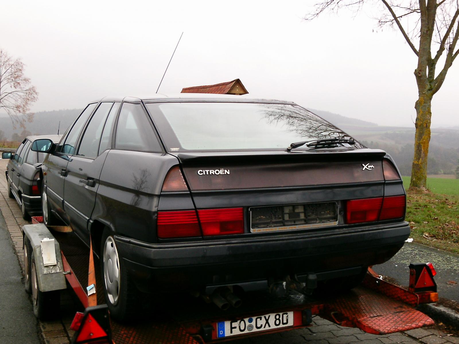 large.PTDC0333.JPG.d908ae9badab54be23e7e