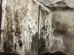 102D417C-5855-4BD6-820F-F015BAB1BA87.jpeg