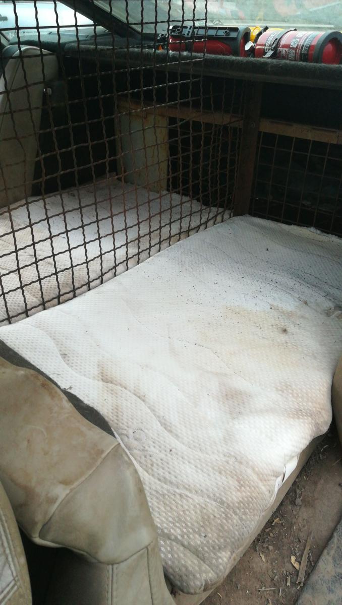 IMG-20190215-WA0019.jpeg.50af8e6411d597e9c7188598a756012f.jpeg