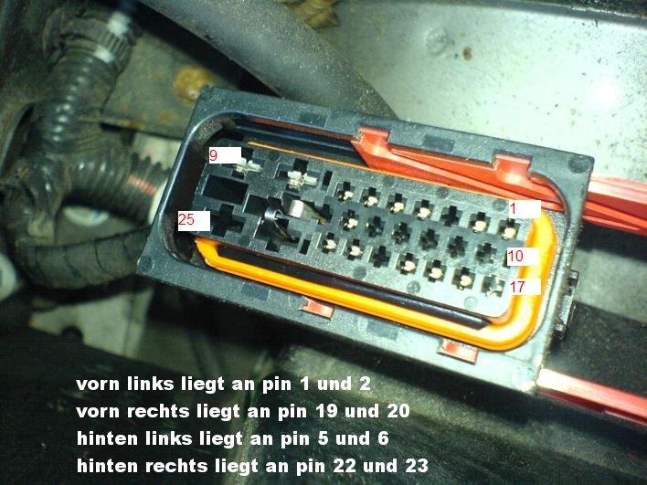 large_x2.jpg.5cc35125d4c1656e72d748dc57ff4294.jpg