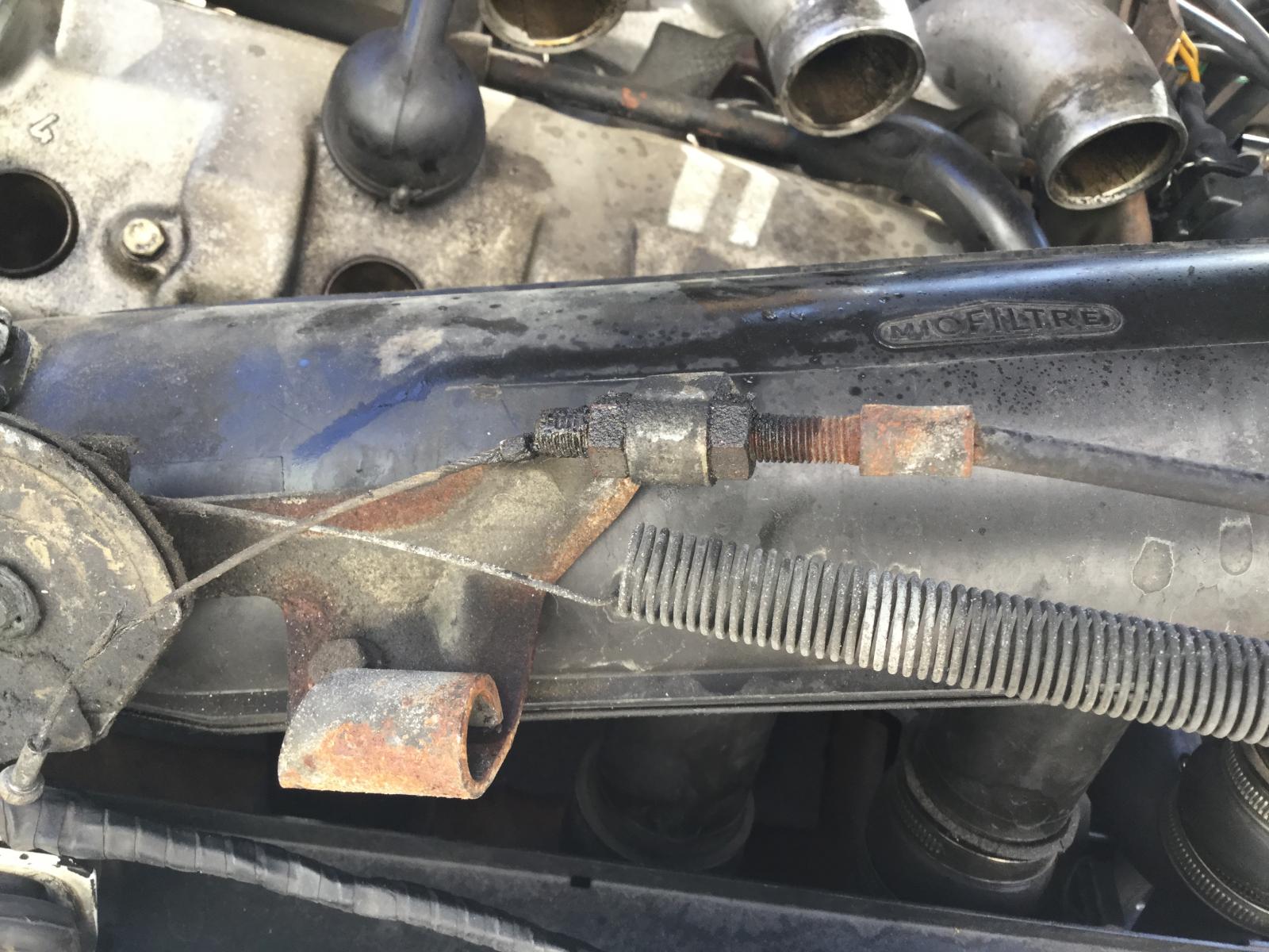 IMG_0059.JPG.0cd65bfe739fe419a5da56a9563d8bbb.JPG