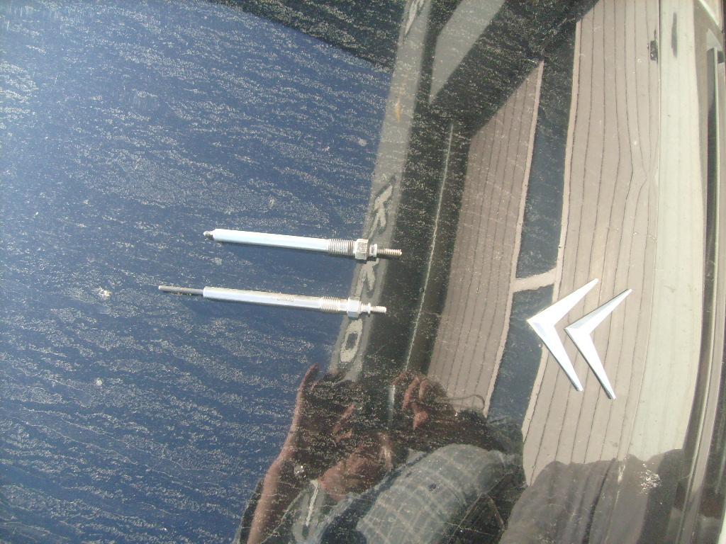 large.1798177970_Scherl001.JPG.70198c24f4aa47d347b8505a774829d9.JPG