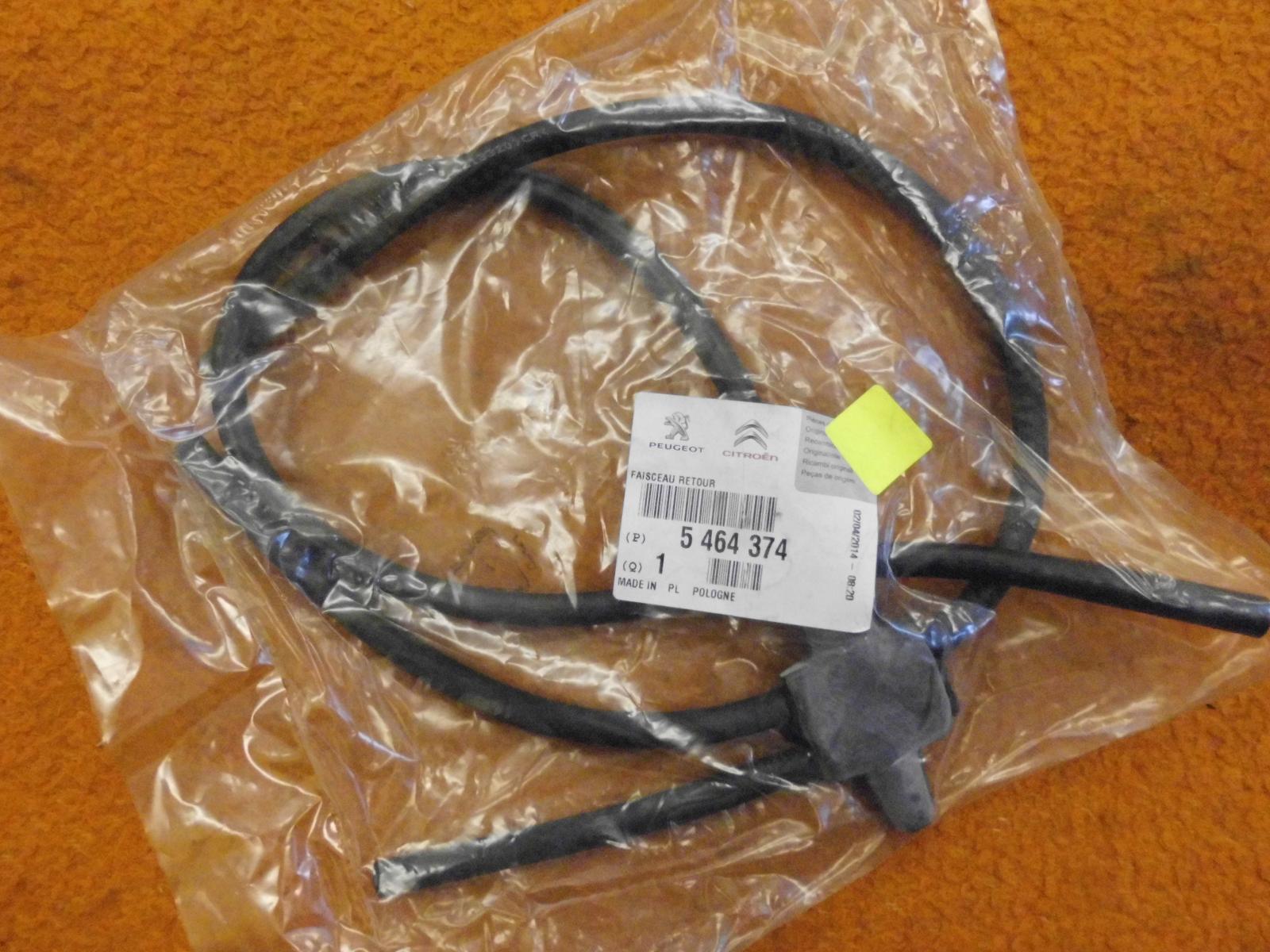 DSCI0349.JPG.e76fca787062b4111fd7c733e34018af.JPG