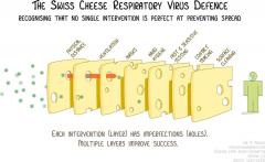 201023 swiss cheese.jpg