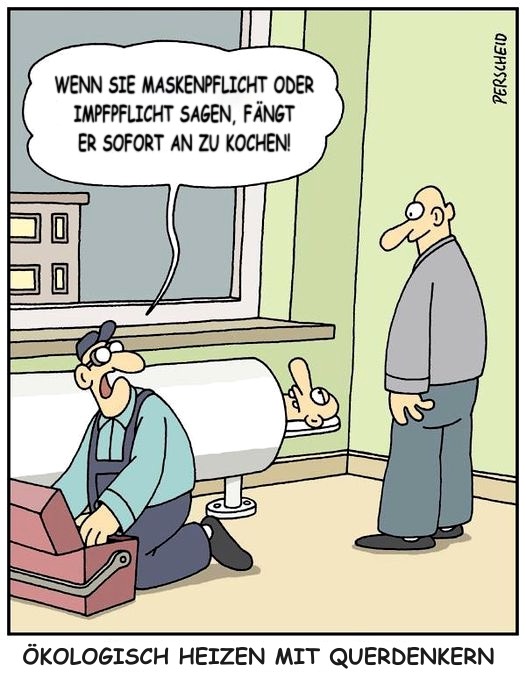 Ich habe einen Audi gekauft...