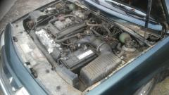 IMG-20210320-WA0034.jpeg