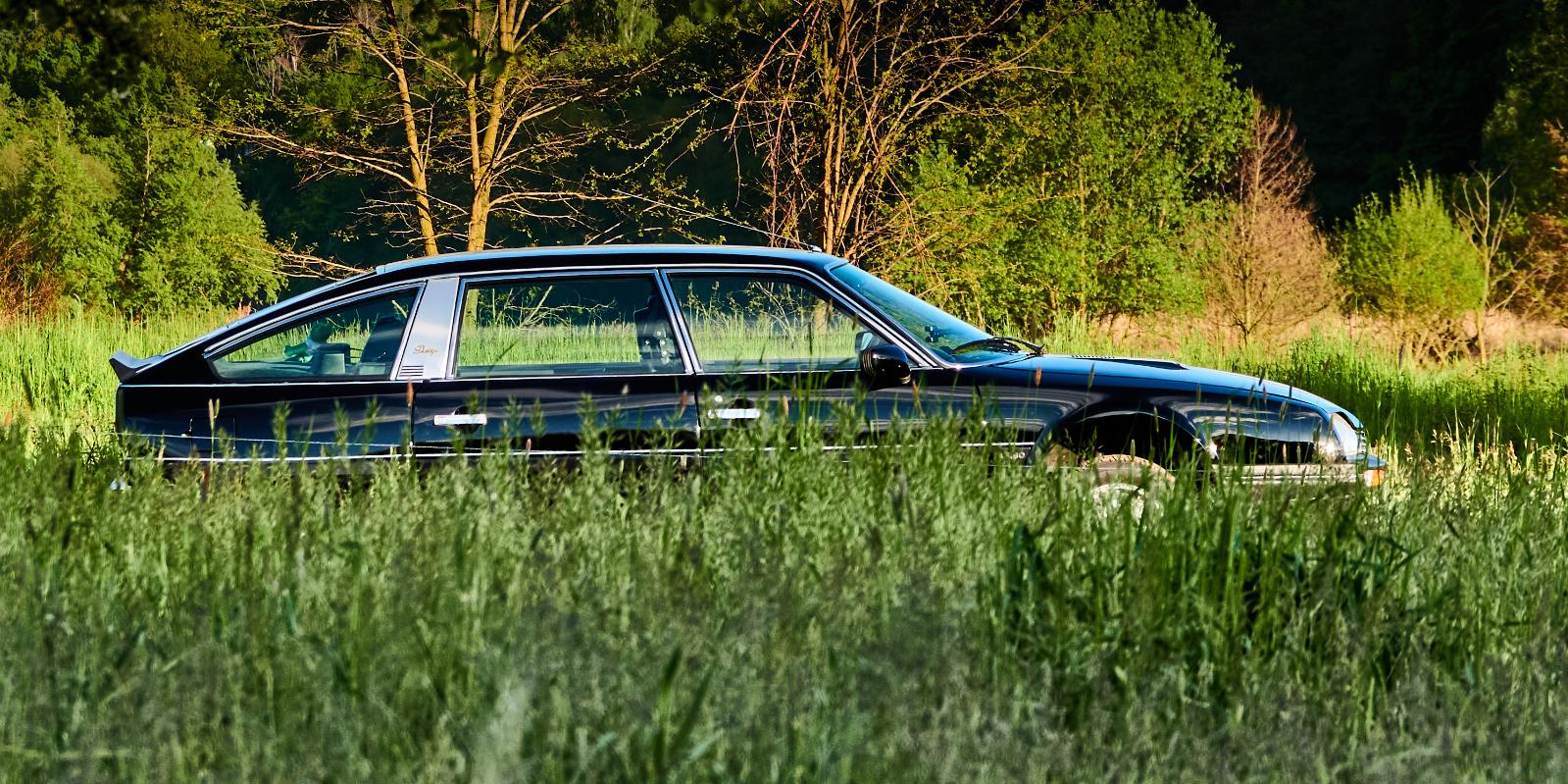 DSC06135_mod.jpg.9a6fa8c6112cf931d98883fd2f6f0493.jpg