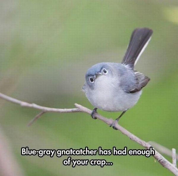 Genug.jpg.a7db668405fbe2b8177fb0c85b64b00b.jpg