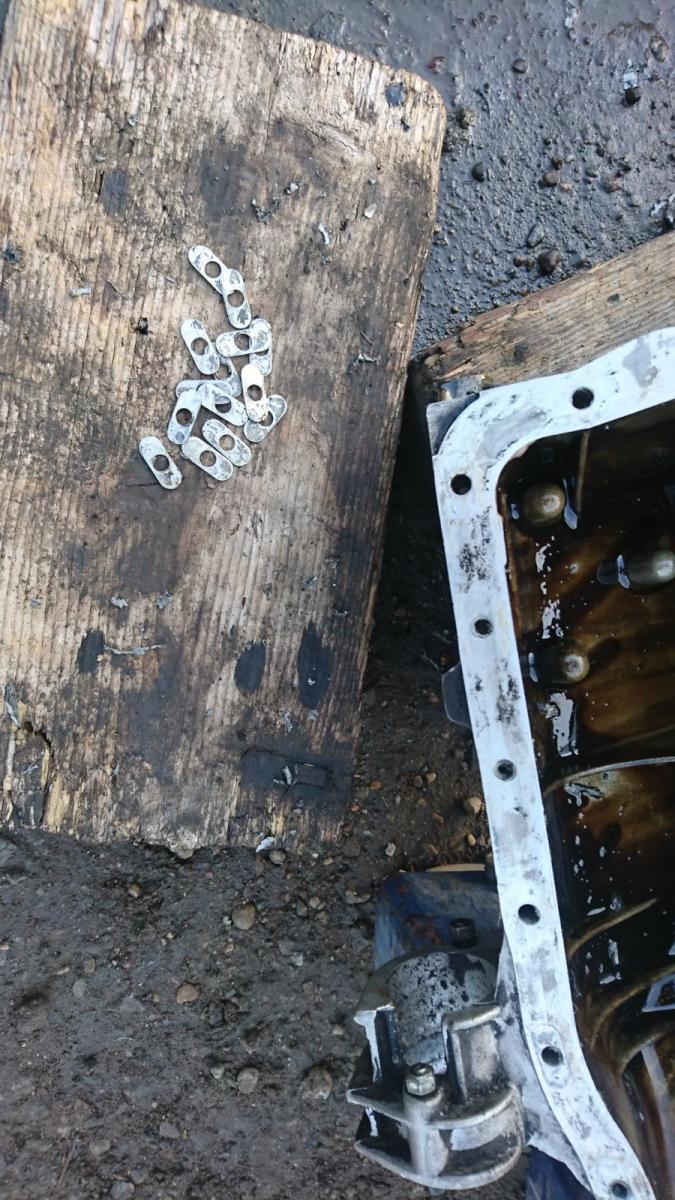 DSC_0276.JPG.da74952f1a3ae92e26de66d25a594fce.JPG