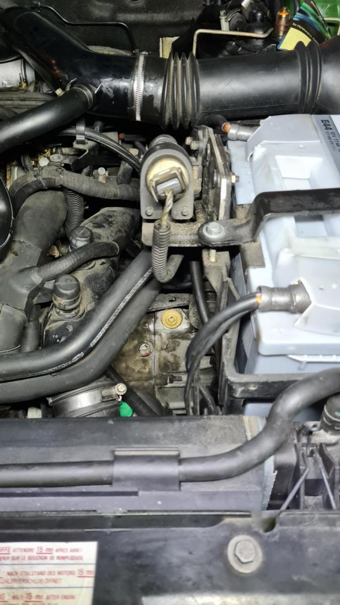20210918_201304.jpg.cf0b6c81cce68f296a5f5a14c71240ea.jpg