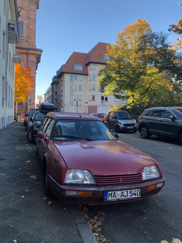 12647D81-F1B2-42F0-BDA0-F16D04AD0714.jpeg.3dea0a0d1743ee4f6ccc64bed3dd1ef7.jpeg