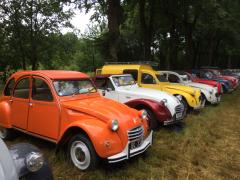 Bunte Entenparade in La Ferté Vidame