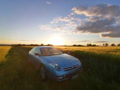 Citroen C6 im Kornfeld bei Sonnenuntergang