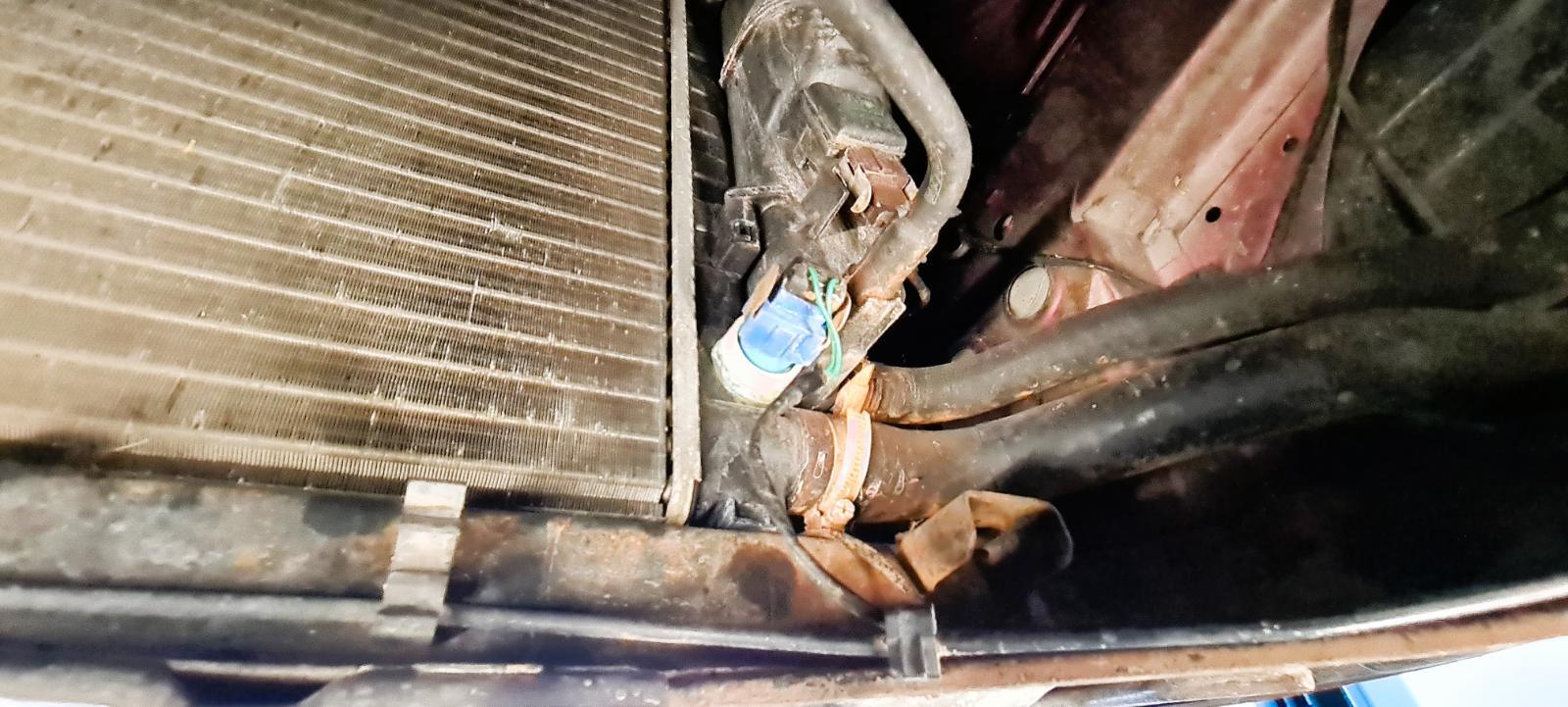 20220217_140640.jpg.a17c309826f2e11420bd4b57a1fdd8f0.jpg