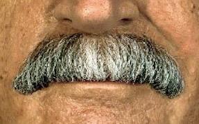 12812717-2E62-4D0A-A068-C18B3E867A66.jpeg.e4b0de640f961af6fc7d8abbfd6ec669.jpeg