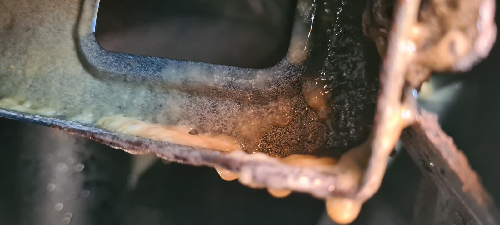 20220702_164827.jpg.446b5ff9f80b6e1553d763dc593c865e.jpg